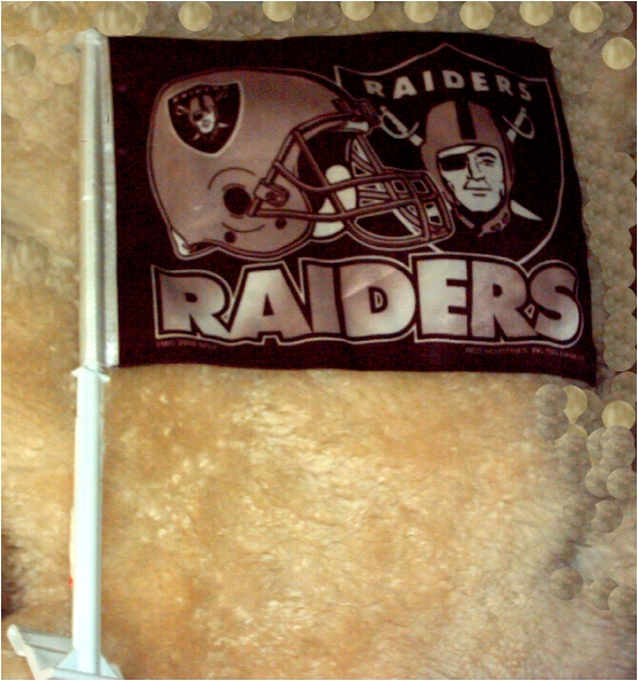 raidersflag.jpg